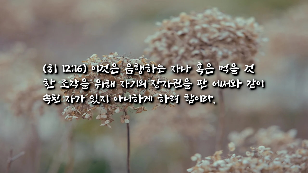 영의 눈이 멀어있으면 보여야 할 것이 보이지 않는다