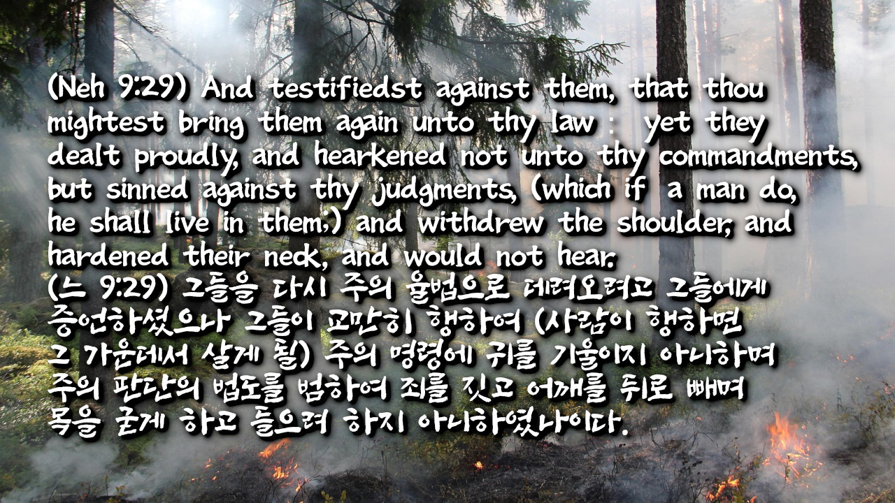 하나님 앞에서 우리의 모습