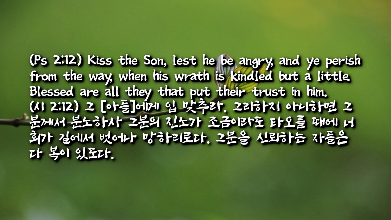 하나님의 독생자 예수 그리스도에게 입맞추고 연합하는 자