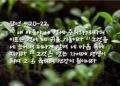 살인과 도적질과 음행과 주술이 만연한 세대