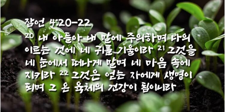 살인과 도적질과 음행과 주술이 만연한 세대