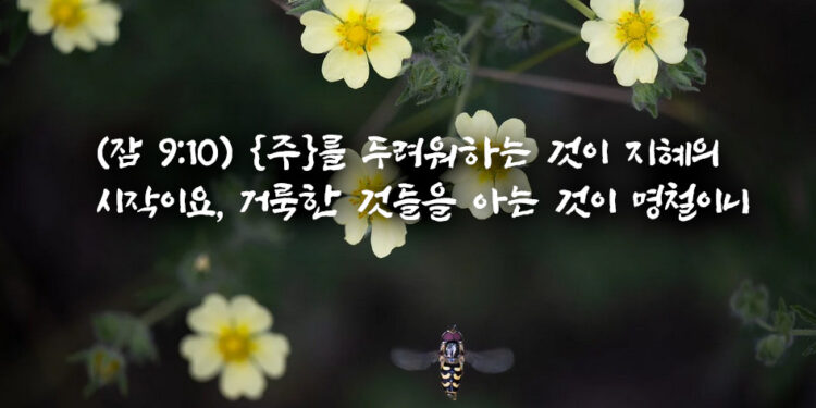 하나님을 경외한다는 것의 의미