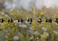 다시 사신 구세주