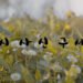 다시 사신 구세주