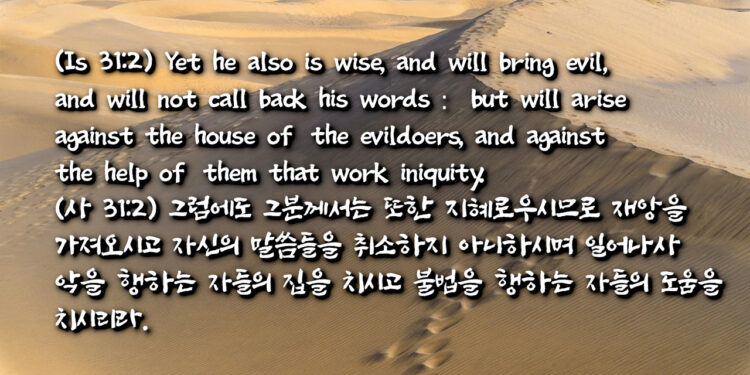 하나님 아닌 것을 의뢰하는 헛됨