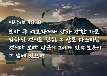 믿음의 비상(飛上)