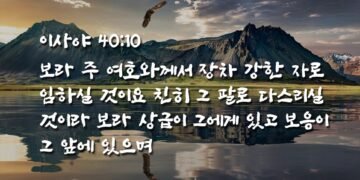 믿음의 비상(飛上)