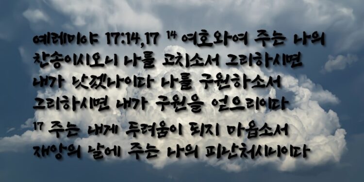 재앙의 날에 치료와 찬송과 피난처와 구원이 되소서