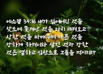 참 목자