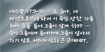 하나님의 생기