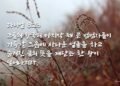사나운 얼굴을 하고 숨겨진 글의 뜻을 깨닫는 왕