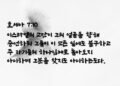 심장이 없는 어리석은 비둘기