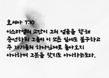 심장이 없는 어리석은 비둘기