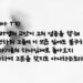심장이 없는 어리석은 비둘기
