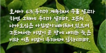 계속해서 주를 알고자 하면