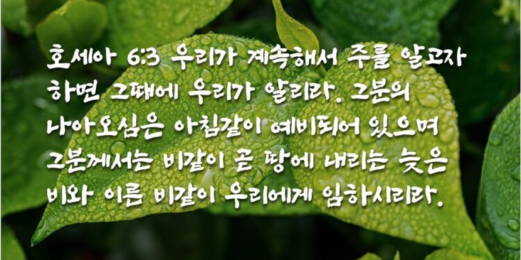 계속해서 주를 알고자 하면