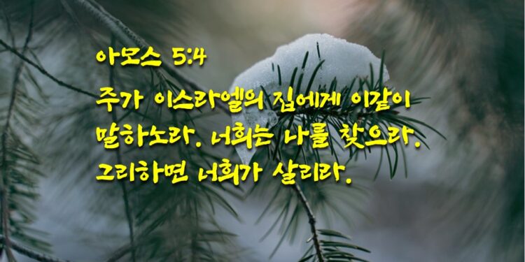 너희는 나를 찾으라