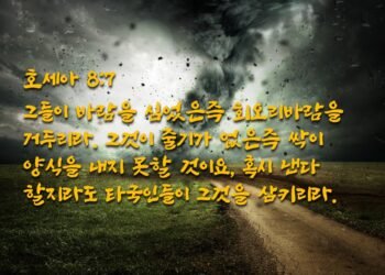 바람을 심고 회오리바람을 거둠