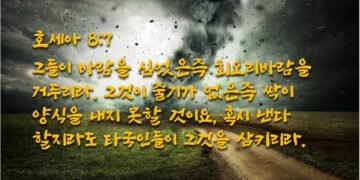 바람을 심고 회오리바람을 거둠