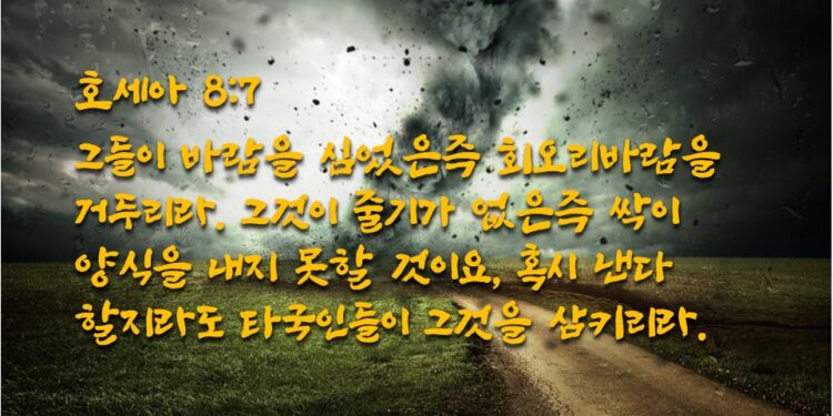 바람을 심고 회오리바람을 거둠