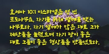 자기를 위해 열매를 맺는 나무