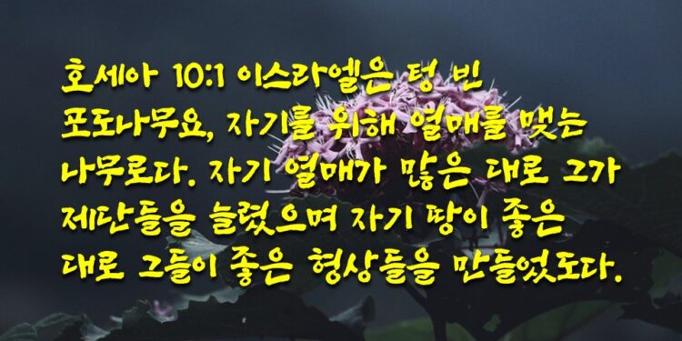 자기를 위해 열매를 맺는 나무