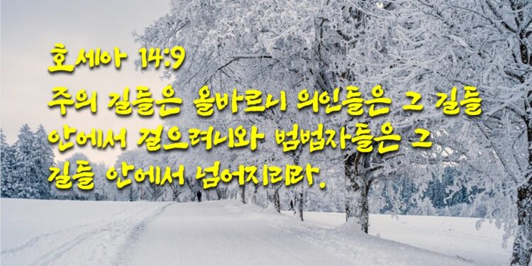 주의 길들 안에서 걷는 의인들