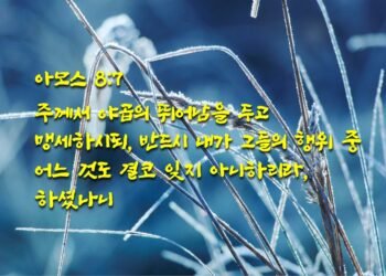 쓰라린 날