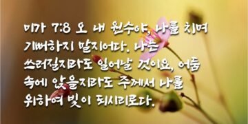 쓰러질지라도 일어나라