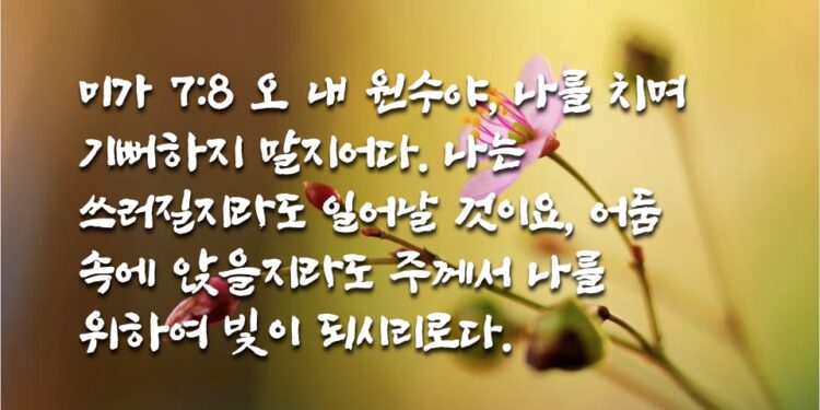 쓰러질지라도 일어나라