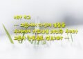 위조되지 않은 시온