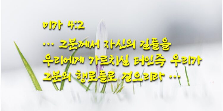 위조되지 않은 시온