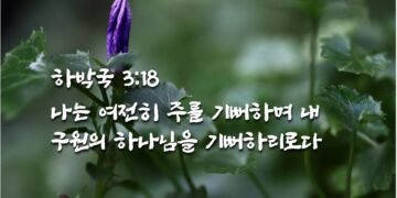 하나님을 기뻐하라