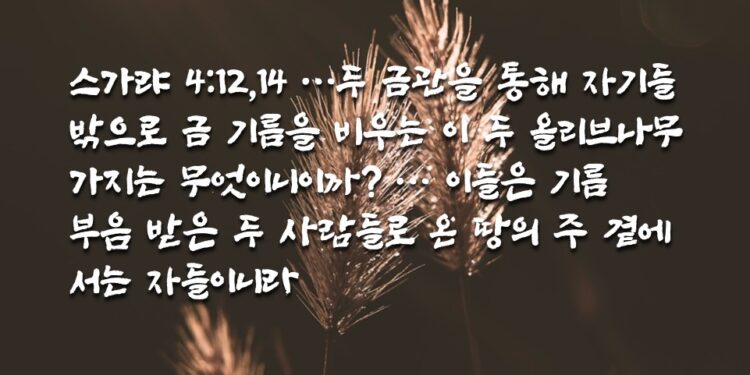 두 올리브나무와 두 등잔대