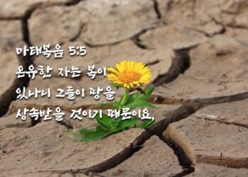 온유한 자의 복