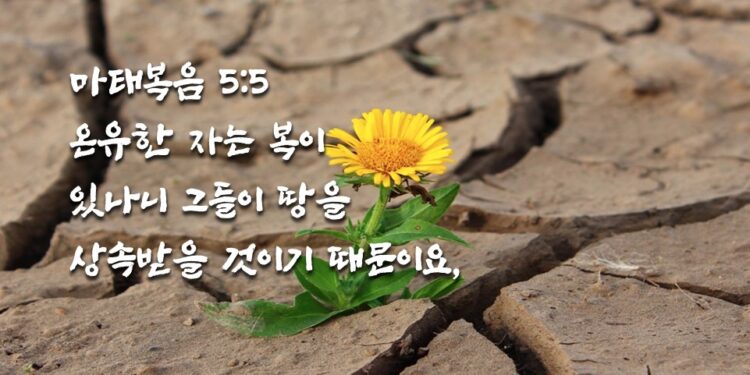 온유한 자의 복