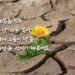 온유한 자의 복