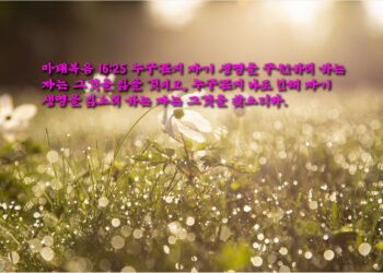 폭풍 속의 믿음