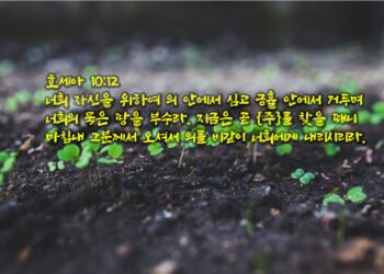 마음밭