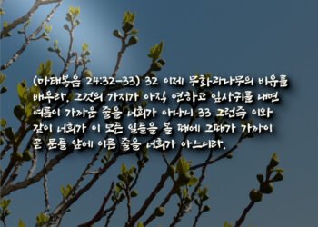 무화과 나무 비유에 대한 시온주의 세뇌
