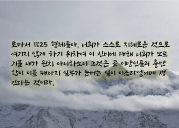 이방인의 때