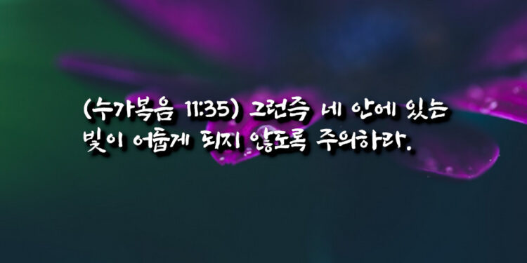 네 안에 있는 빛이 어둡게 되지 않도록 주의하라