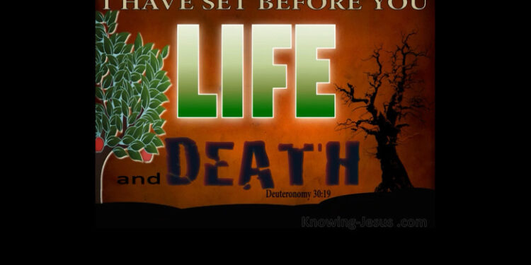 당신의 영혼을 가지고 놀지 마십시오