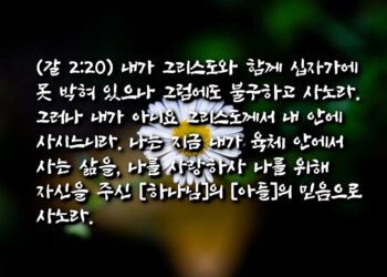 자아가 죽지 않은 증거들