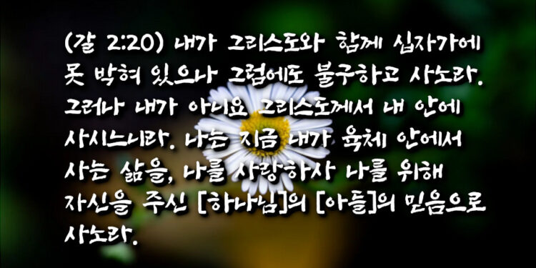 자아가 죽지 않은 증거들