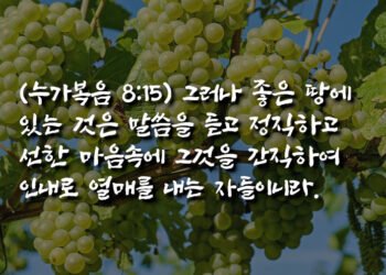 좋은 열매가 맺히기까지