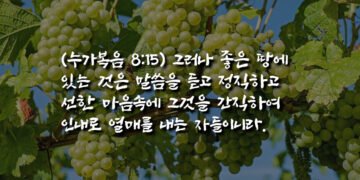 좋은 열매가 맺히기까지