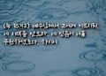 시력 회복