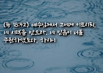 시력 회복