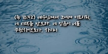 시력 회복